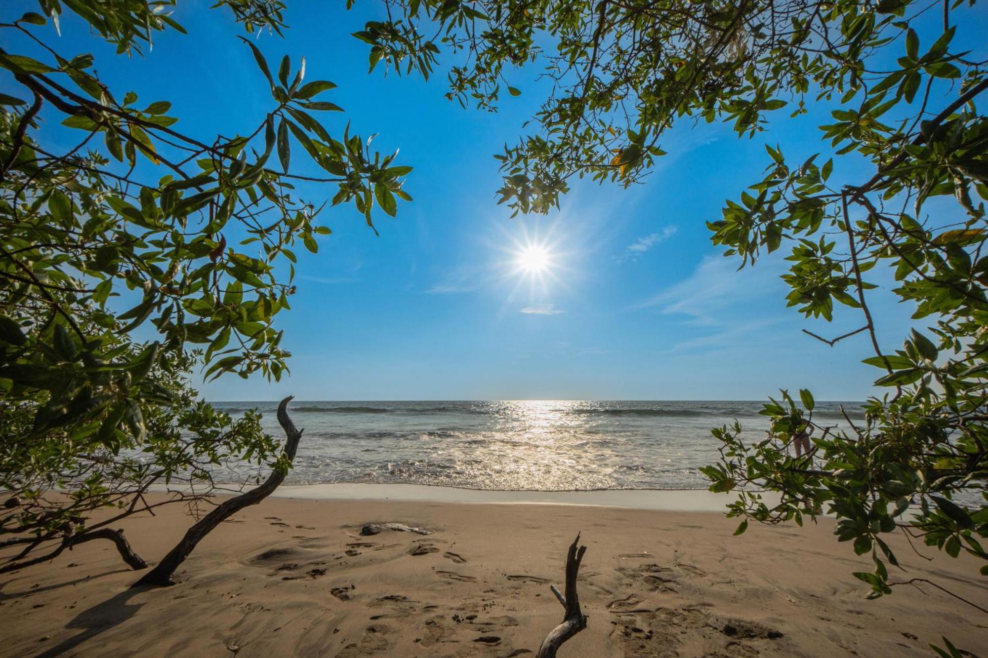 Villas Vr Beachwalk Avellanas ปลายา อาเบญานา ภายนอก รูปภาพ